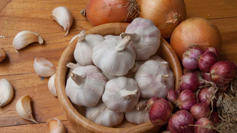 alimentos peligrosos para gatos cebolla y ajo