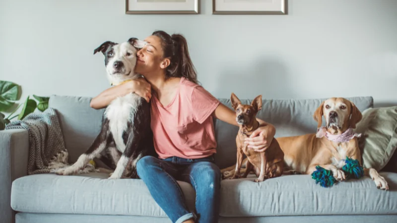 ¿Qué ventajas y desventajas tiene un animal como mascota? 42 dueña y sus mascotas