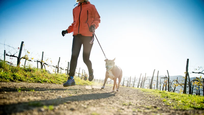 Pirámide Alimenticia para Perros 45 perro haciendo ejercicio