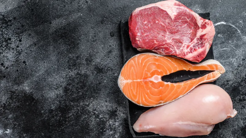 Pirámide Alimenticia para Perros 42 proteínas de origen animal