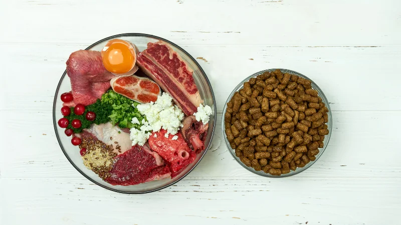 alimento para perro natural y comida pellet para perro