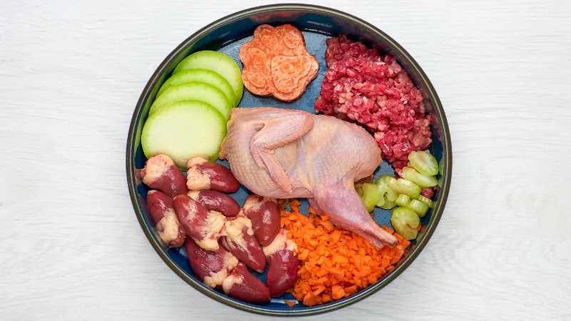 plato de comida natural para perro