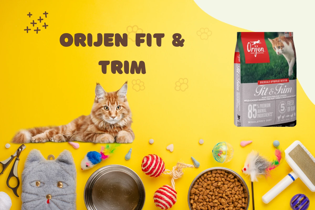 Orijen Fit & Trim para gatos