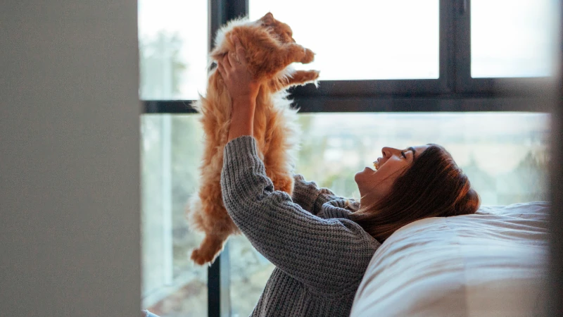 gato jugando con mujer