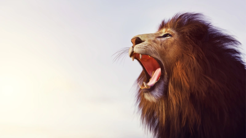 Nombres para gatos: Encuentra el nombre perfecto para tu felino compañero 45 león rugiendo