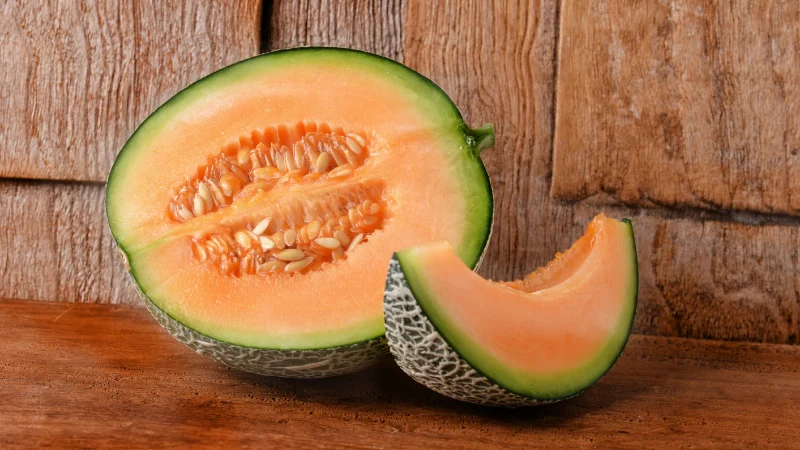 ¿Los perros pueden comer melón? 42 Melón