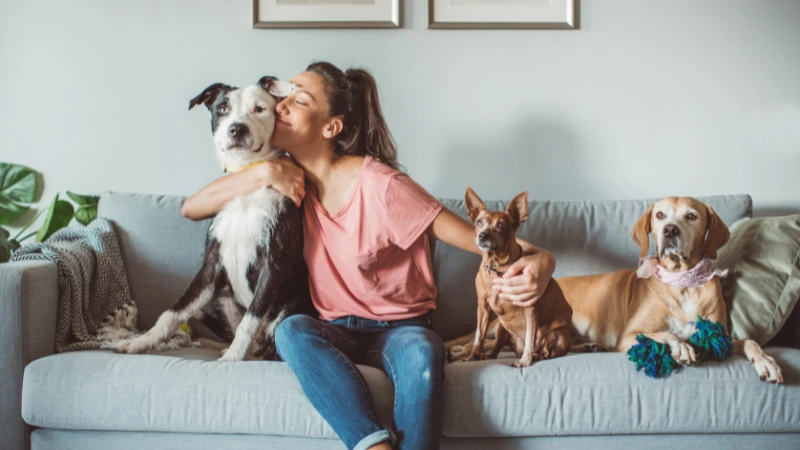 mujer con sus perros