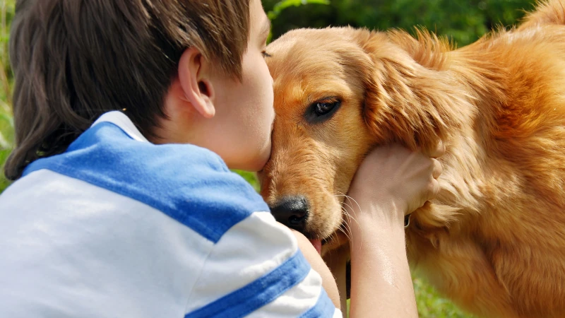 Perros y niños: La combinación perfecta 45 niño besando la cabeza de un perro