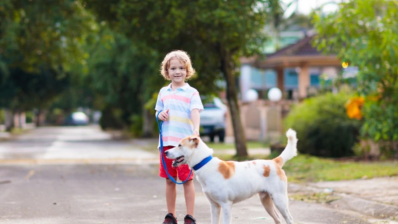 niño y su perro con correa paseando