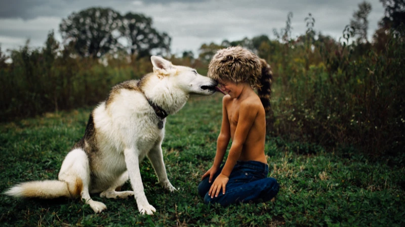 Perros y niños: La combinación perfecta 43 perro lamiendo la cara de un niño