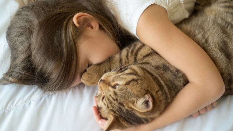 ¿Cómo saber si un gato es macho o hembra? 46 niña con su gato