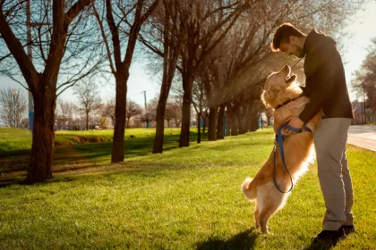 Los 10 mejores parques caninos para amantes de los perros en Chile